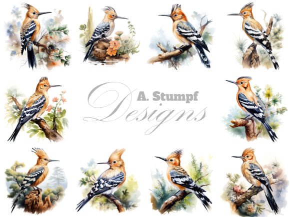 Download Hoopoe Clipart Watercolor Bird Bundle - Bird bundle Collection