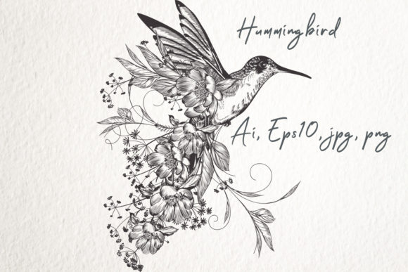 Download Fashion Vector Illustration Hummingbird - Illustration Collection