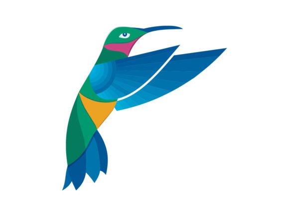 Download Hummingbird Illustration Vector - Illustration Collection