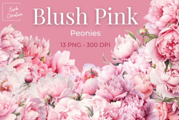 Download Blush Pink Peonies Watercolor Flowers - Watercolor flowers Collection