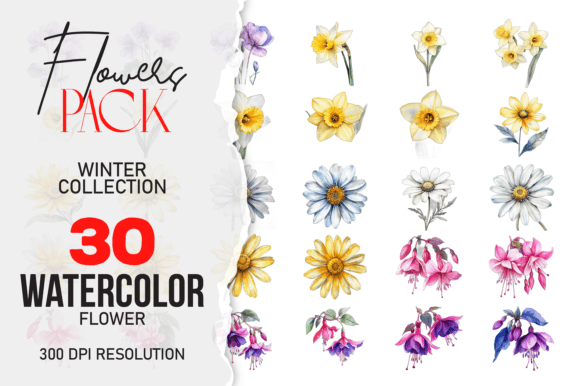 Download Wild Floral Clipart Watercolor Flowers - Watercolor flowers Collection