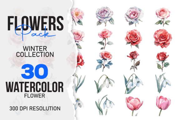 Download Wild Floral Clipart Watercolor Flowers S - Watercolor flowers Collection