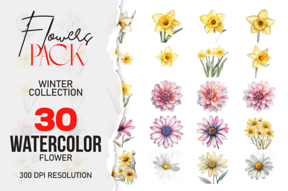Download Wild Floral Clipart Watercolor Flowers - Watercolor flowers Collection