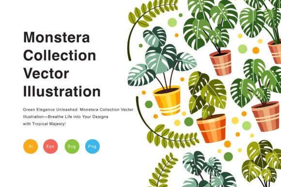 Download Monstera Collection Vector Illustration - Illustration Collection