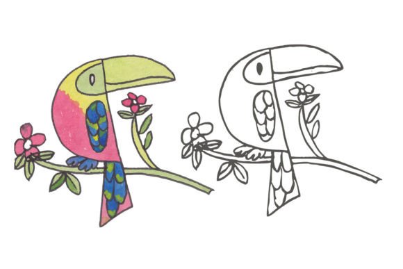 Download Bird Illustration - Illustration Collection