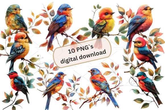 Download Bird Illustration Clipart, PNG 4S-3 - Illustration Collection