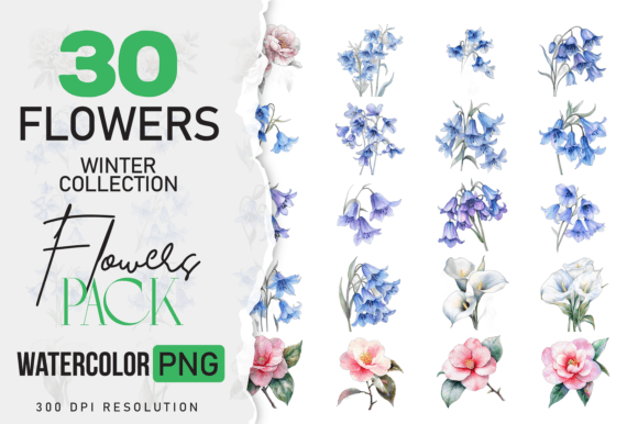 Download Wild Floral Clipart Watercolor Flowers - Watercolor flowers Collection