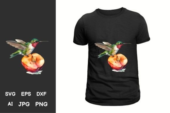 Download Serene Hummingbird Illustration Pack - Illustration Collection
