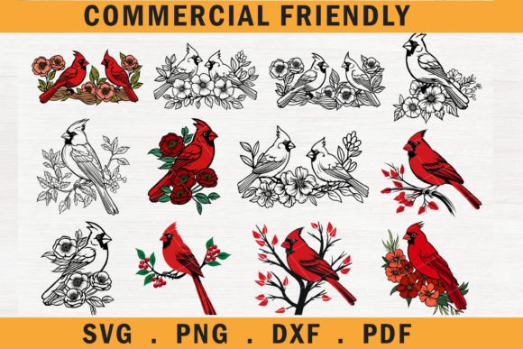 Download Christmas Floral Cardinal Bird Bundle - Bird bundle Collection