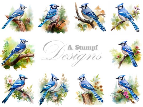 Download Blue Jay Clipart Watercolor Bird Bundle - Bird bundle Collection